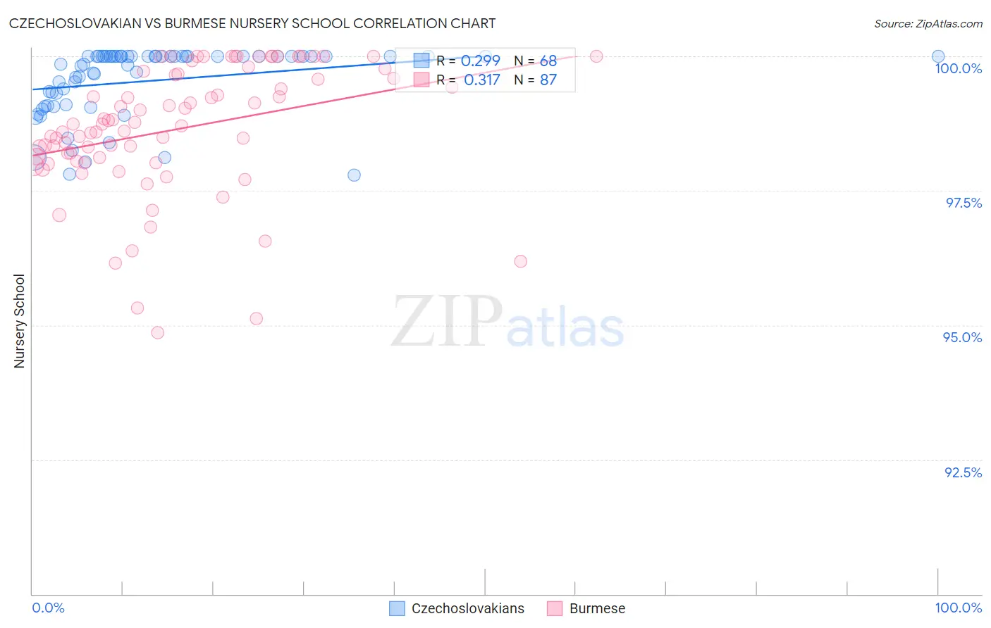 Czechoslovakian vs Burmese Nursery School
