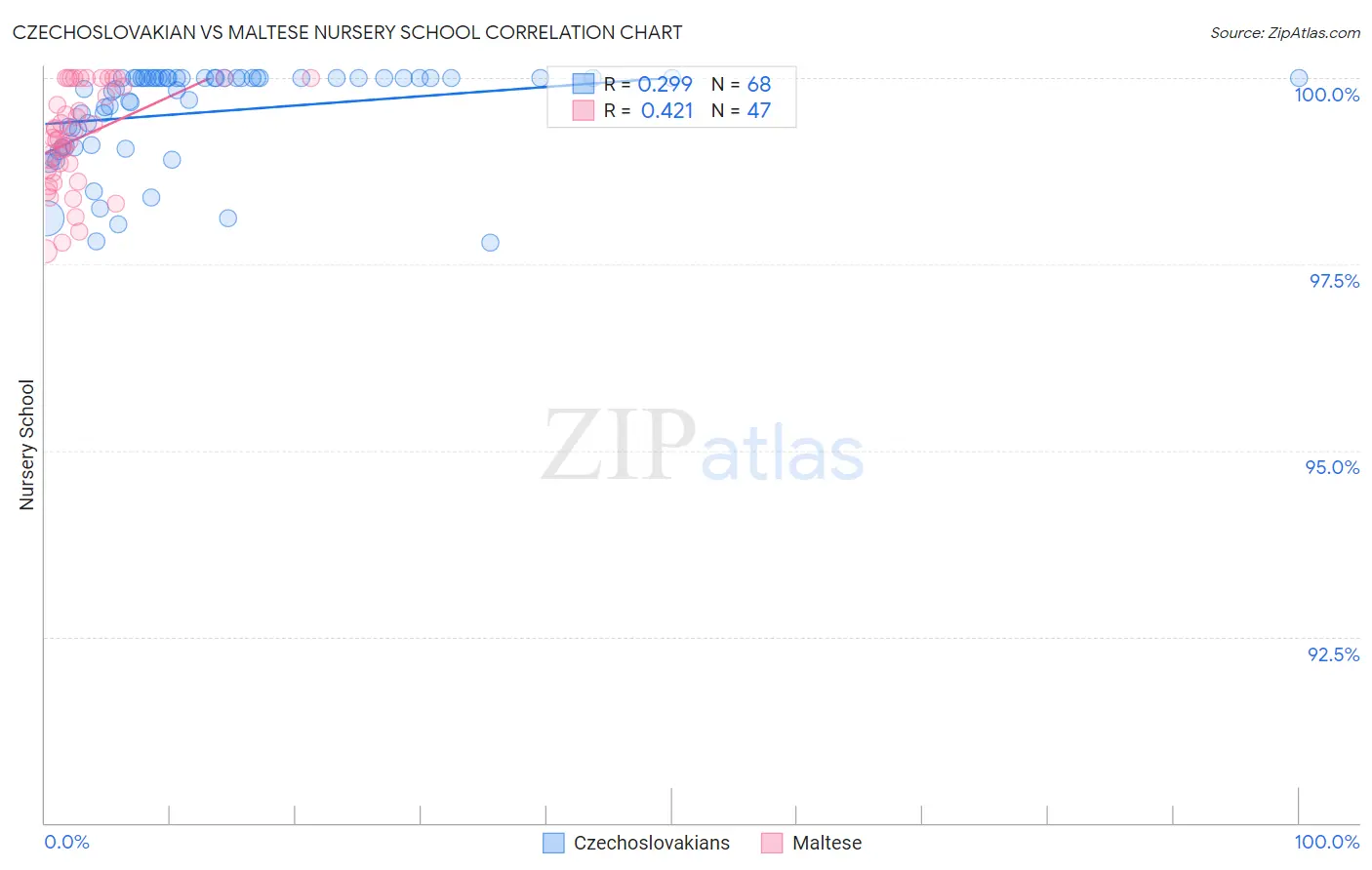 Czechoslovakian vs Maltese Nursery School