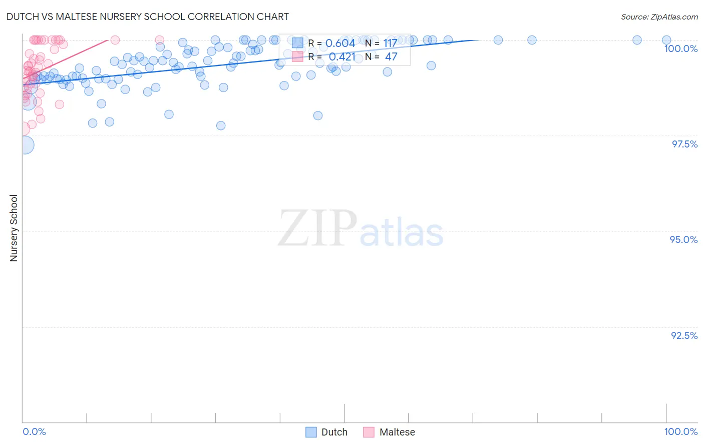 Dutch vs Maltese Nursery School