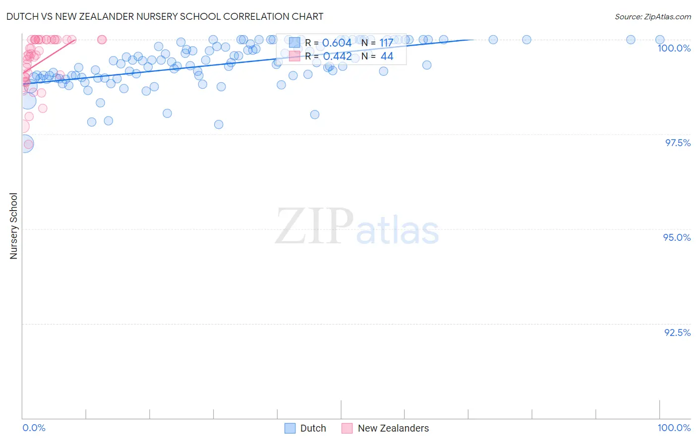Dutch vs New Zealander Nursery School