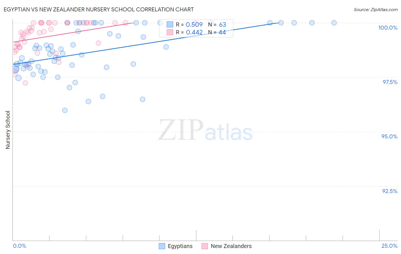 Egyptian vs New Zealander Nursery School