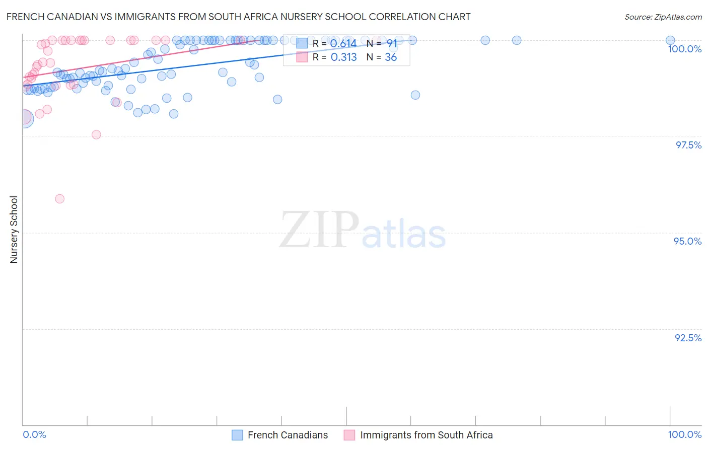 French Canadian vs Immigrants from South Africa Nursery School
