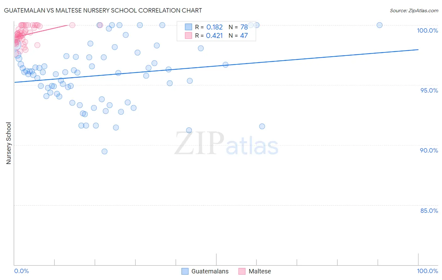 Guatemalan vs Maltese Nursery School