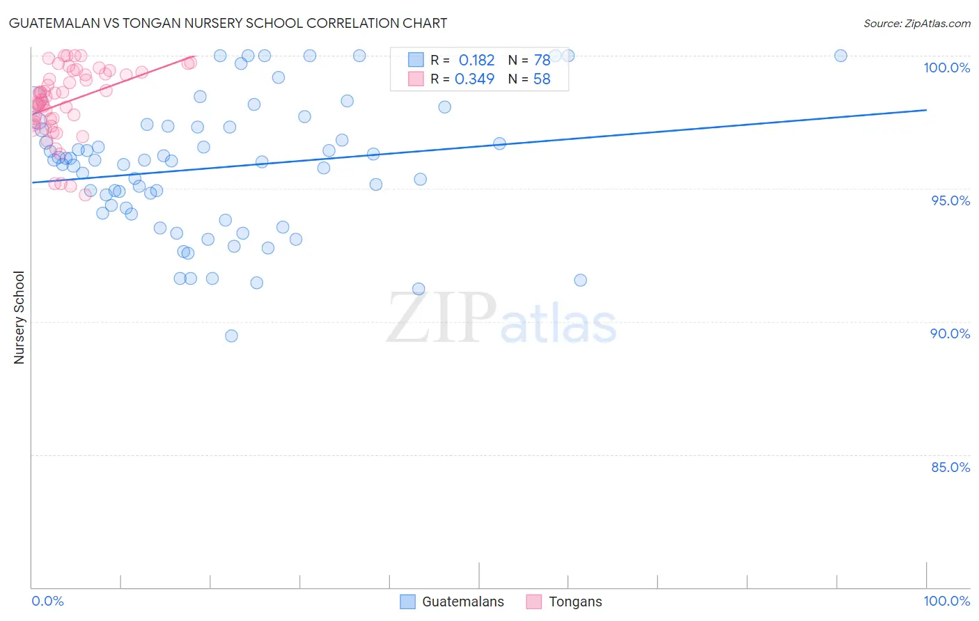 Guatemalan vs Tongan Nursery School