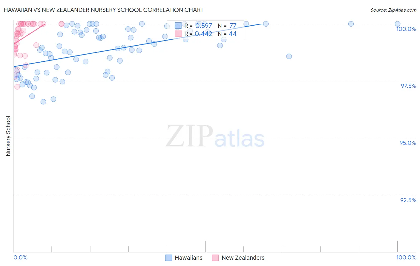 Hawaiian vs New Zealander Nursery School