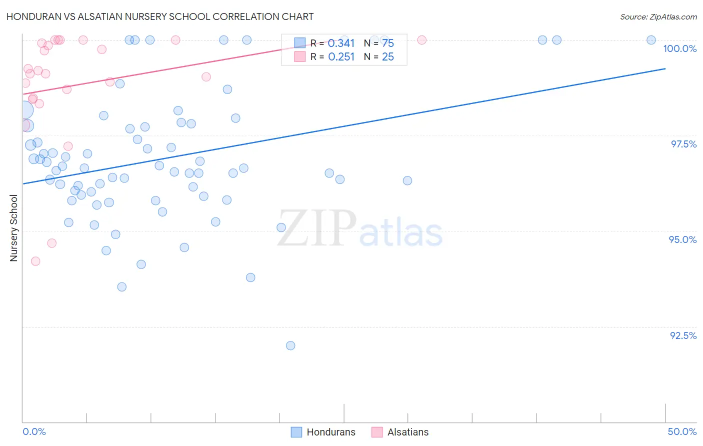 Honduran vs Alsatian Nursery School