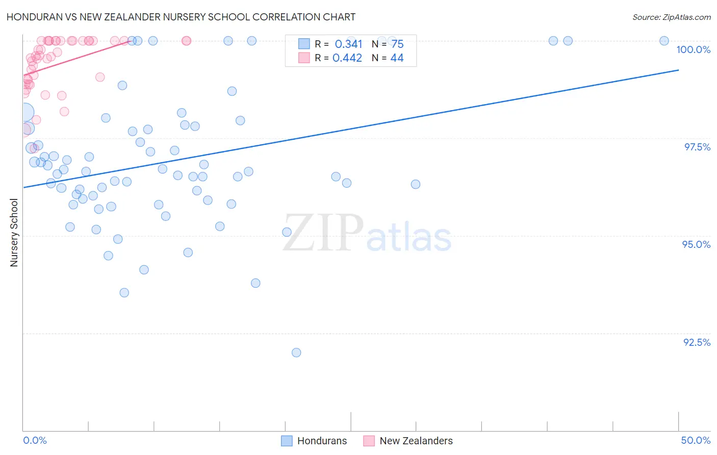 Honduran vs New Zealander Nursery School