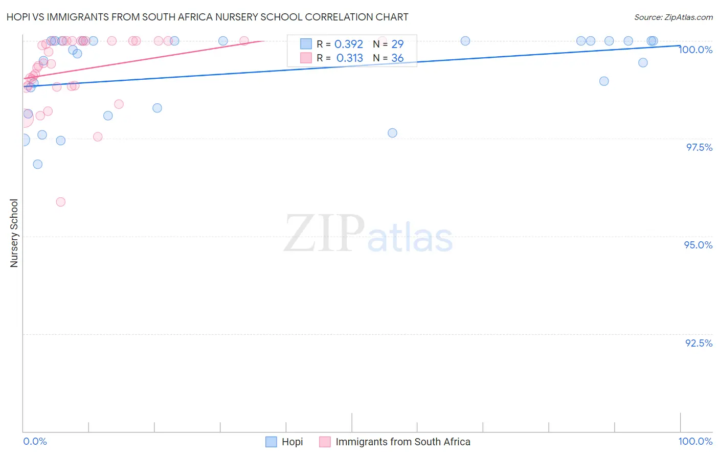 Hopi vs Immigrants from South Africa Nursery School