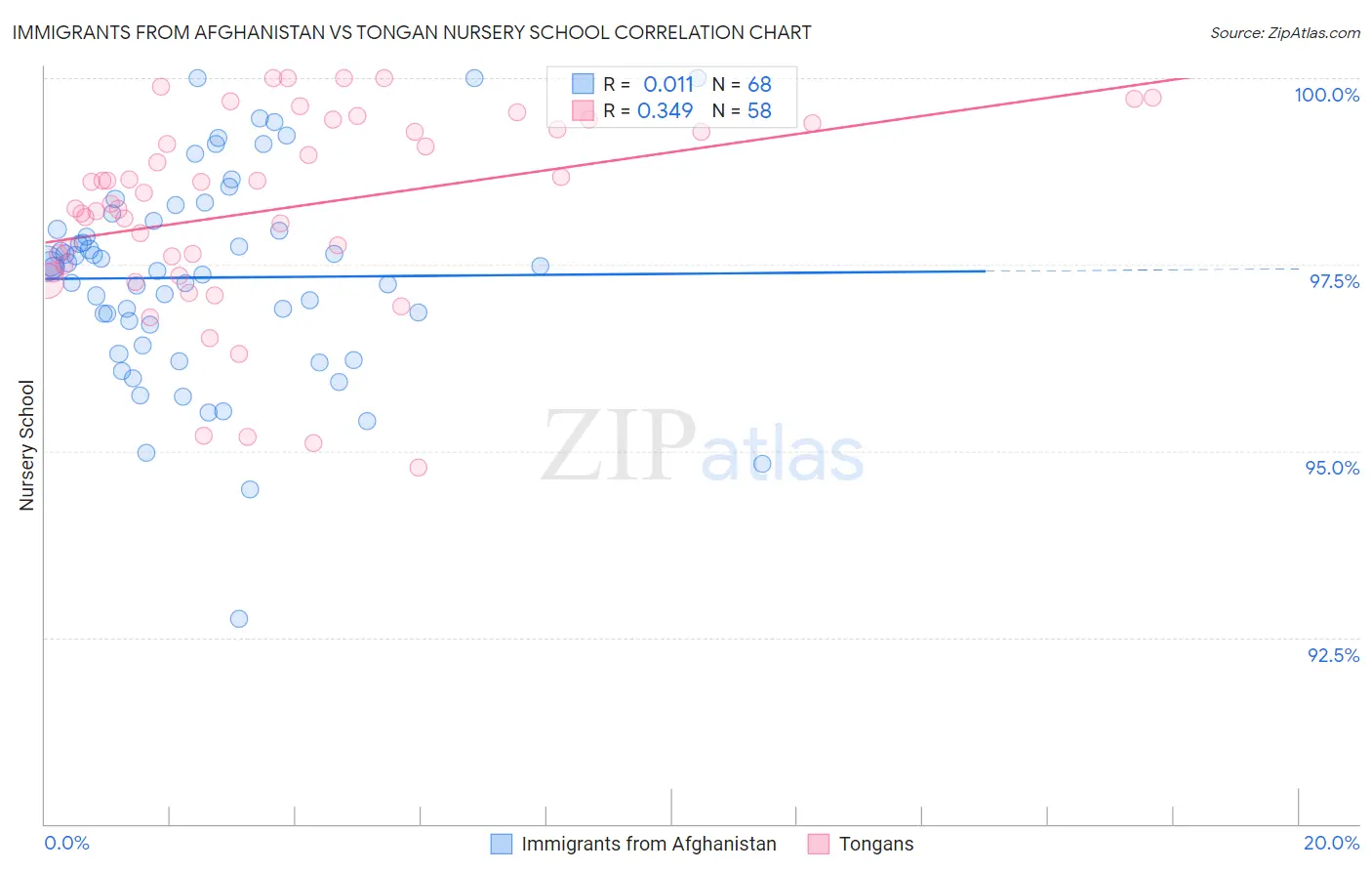 Immigrants from Afghanistan vs Tongan Nursery School