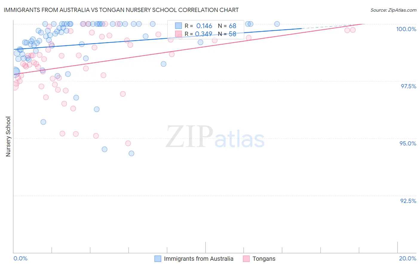 Immigrants from Australia vs Tongan Nursery School