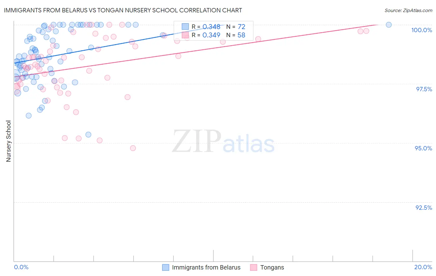 Immigrants from Belarus vs Tongan Nursery School