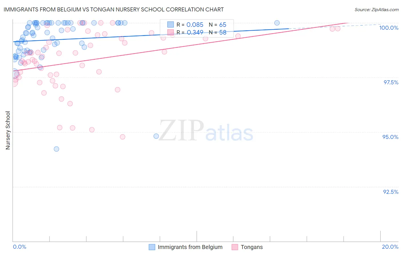 Immigrants from Belgium vs Tongan Nursery School