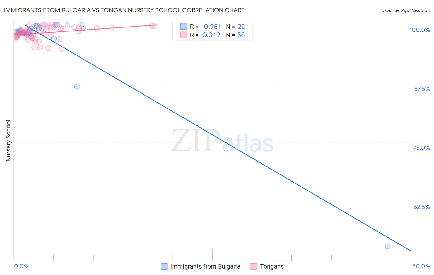 Immigrants from Bulgaria vs Tongan Nursery School