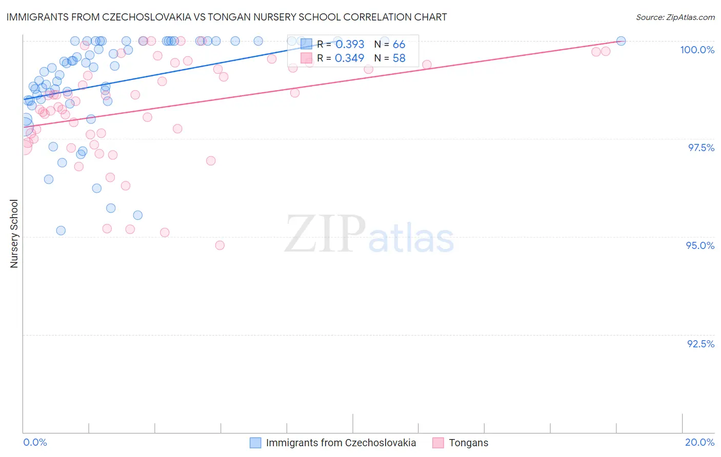 Immigrants from Czechoslovakia vs Tongan Nursery School