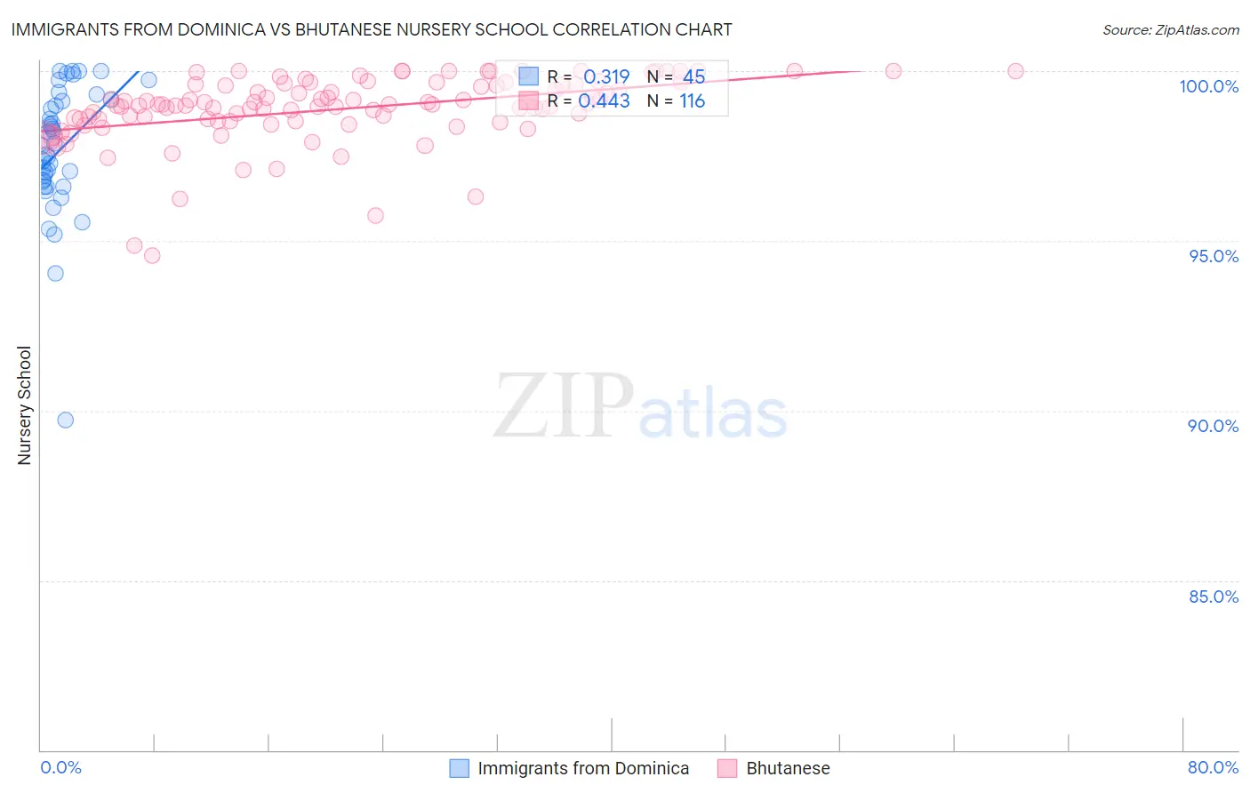 Immigrants from Dominica vs Bhutanese Nursery School