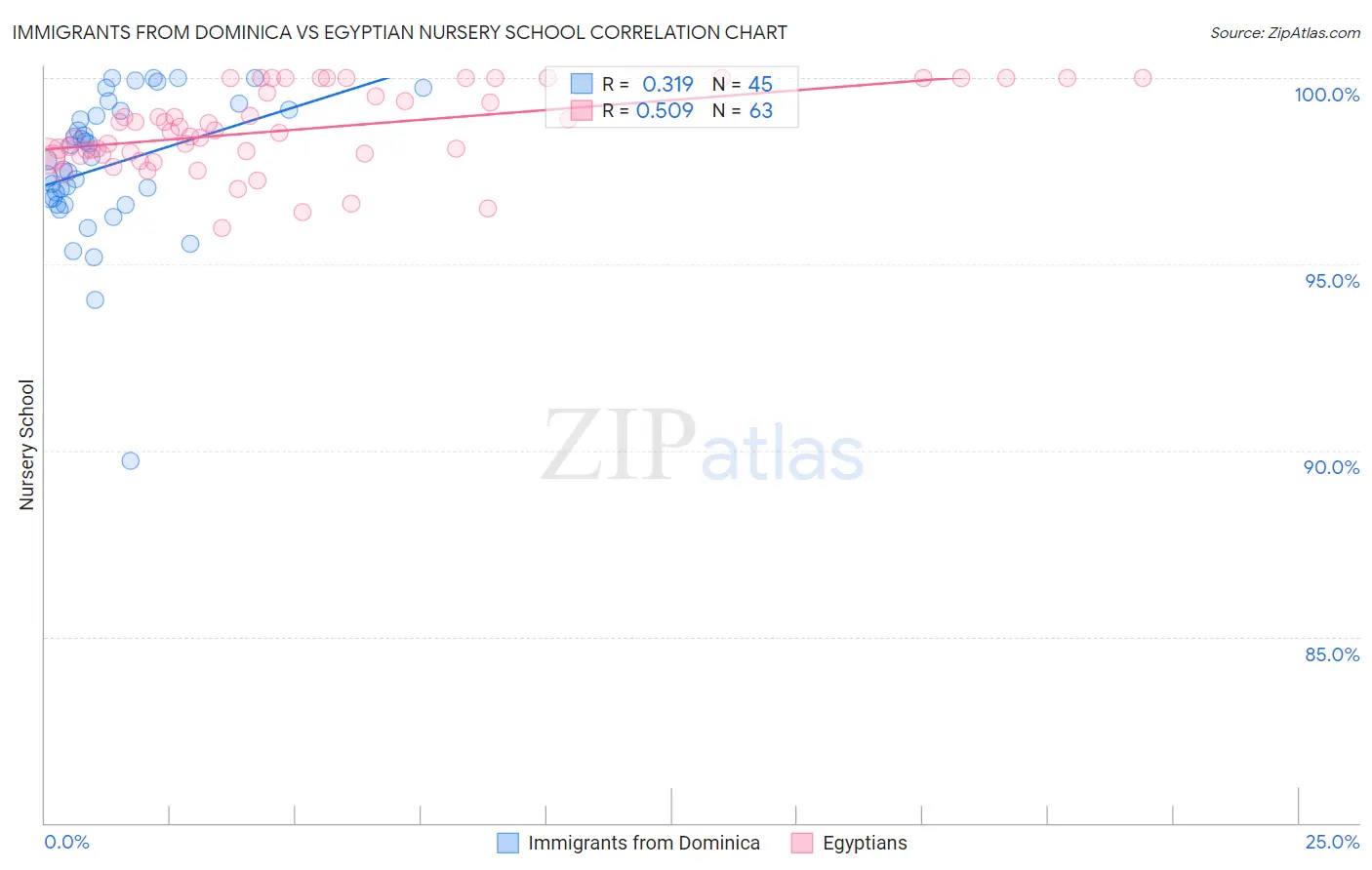 Immigrants from Dominica vs Egyptian Nursery School
