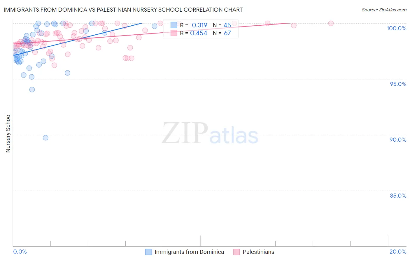 Immigrants from Dominica vs Palestinian Nursery School
