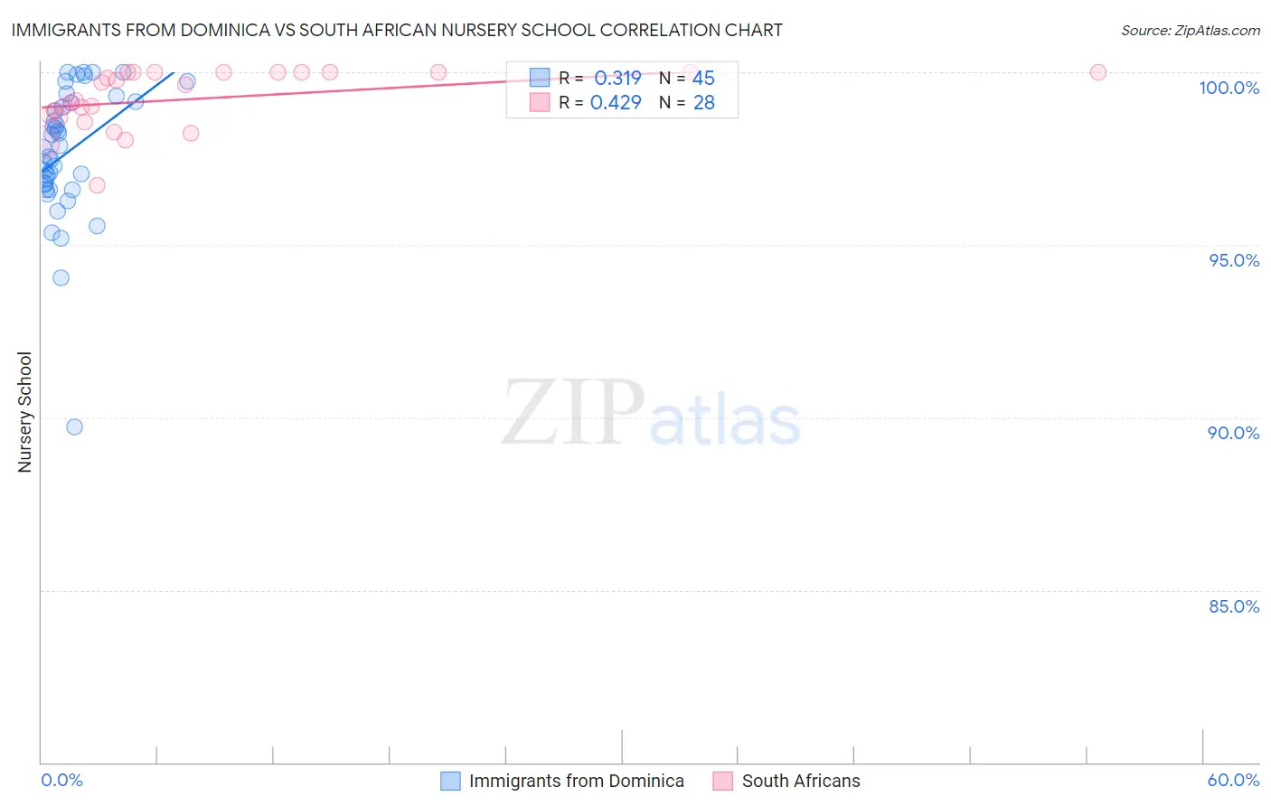 Immigrants from Dominica vs South African Nursery School