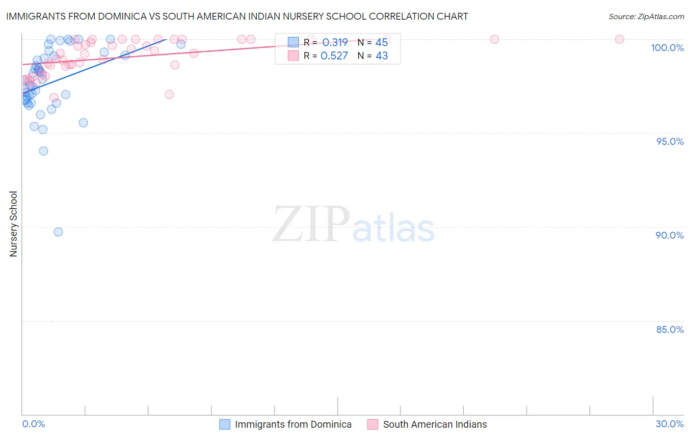 Immigrants from Dominica vs South American Indian Nursery School
