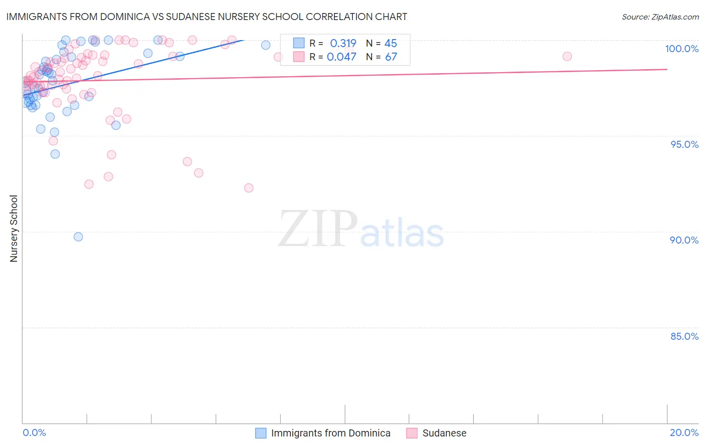 Immigrants from Dominica vs Sudanese Nursery School