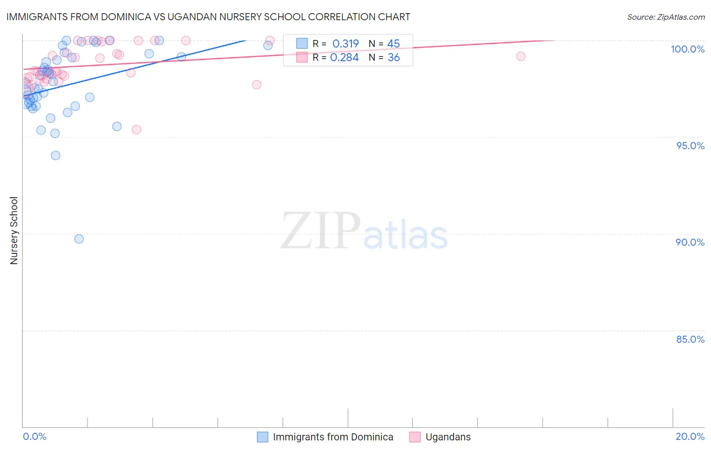 Immigrants from Dominica vs Ugandan Nursery School