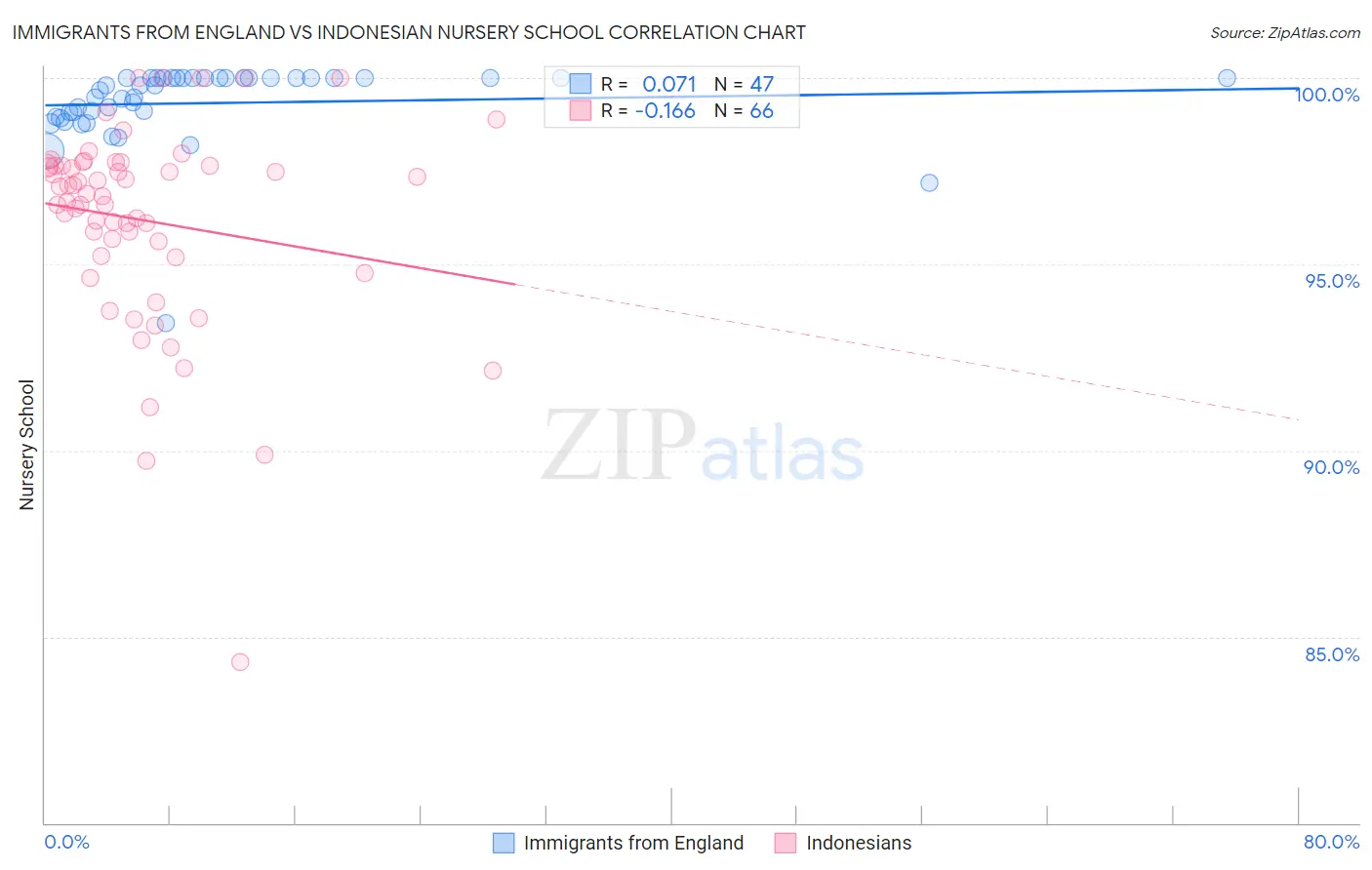 Immigrants from England vs Indonesian Nursery School