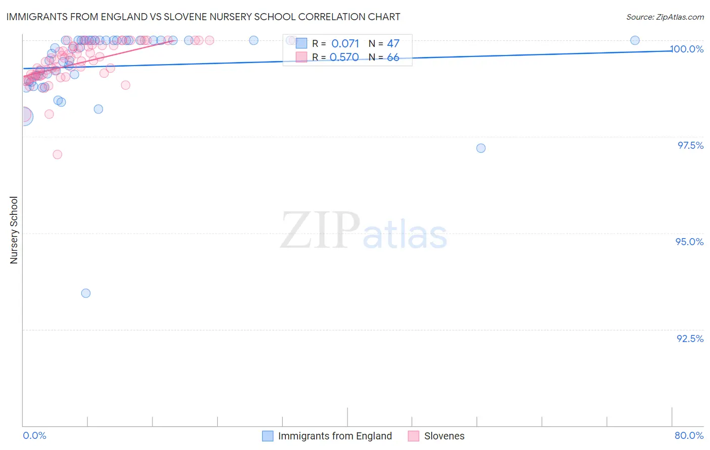 Immigrants from England vs Slovene Nursery School