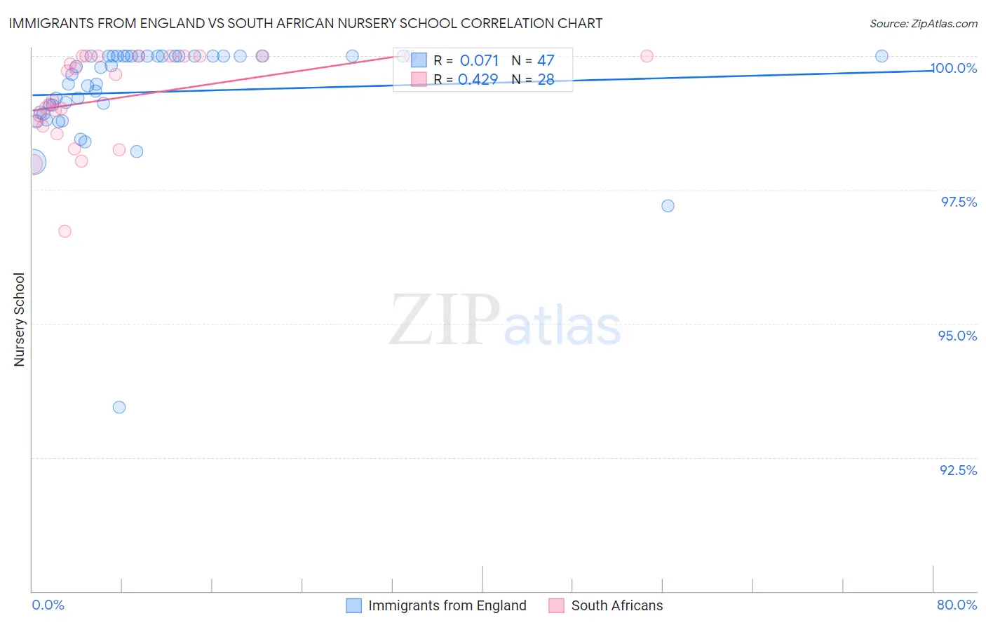 Immigrants from England vs South African Nursery School