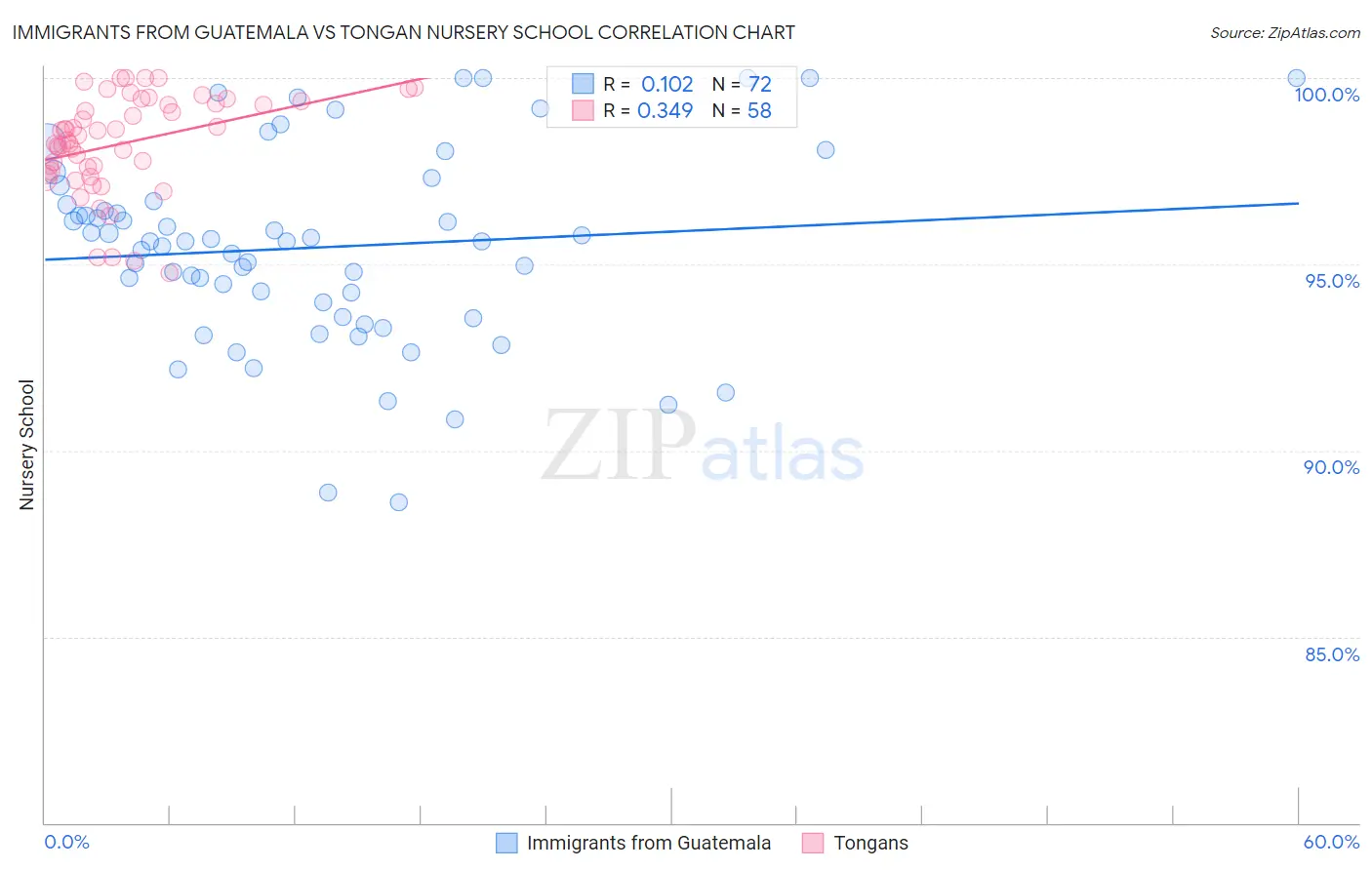 Immigrants from Guatemala vs Tongan Nursery School