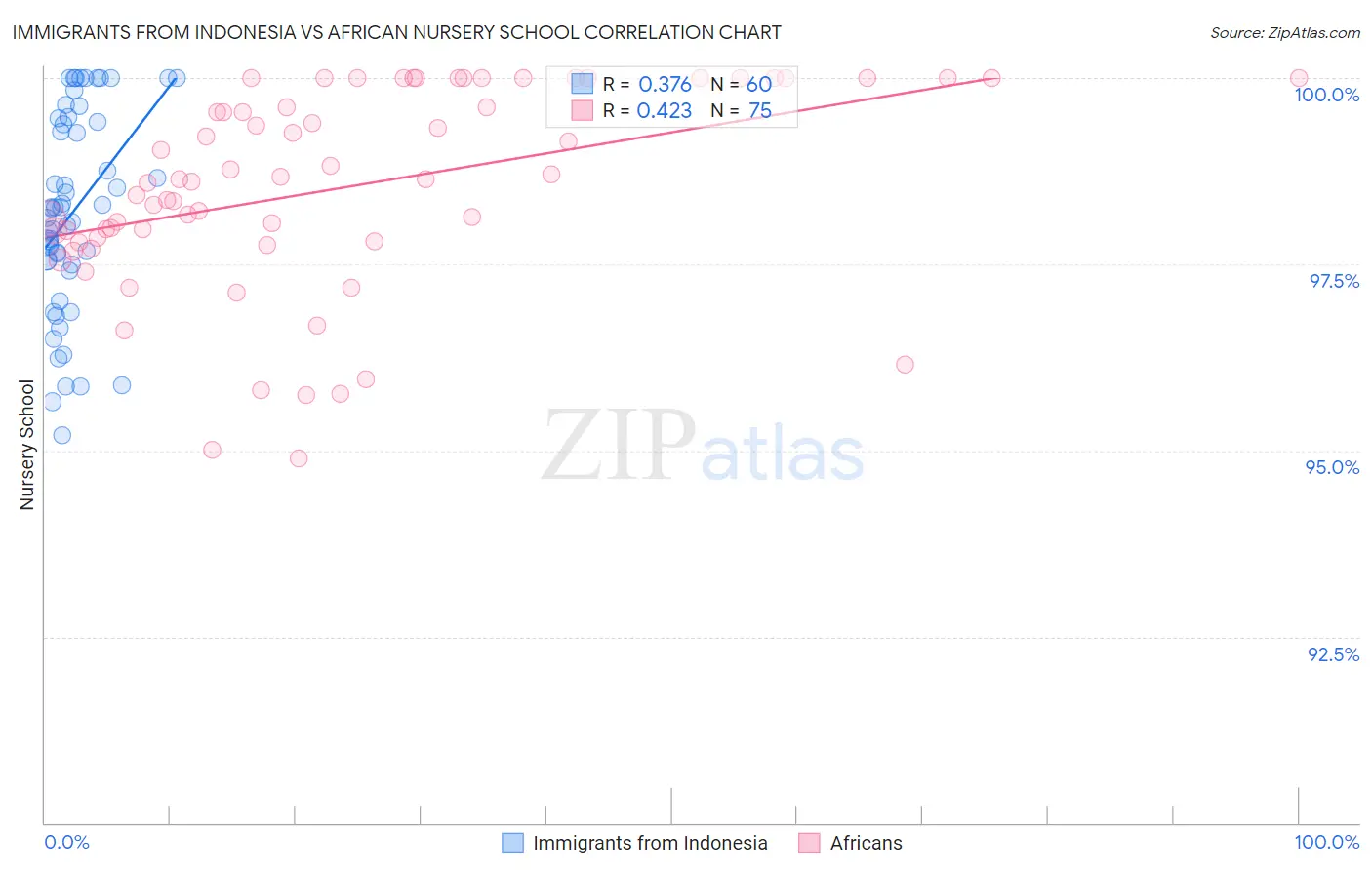 Immigrants from Indonesia vs African Nursery School