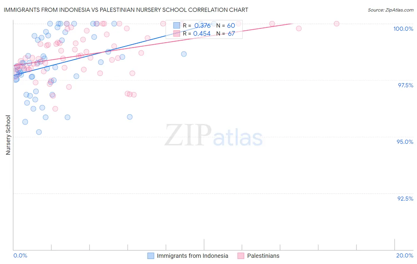 Immigrants from Indonesia vs Palestinian Nursery School