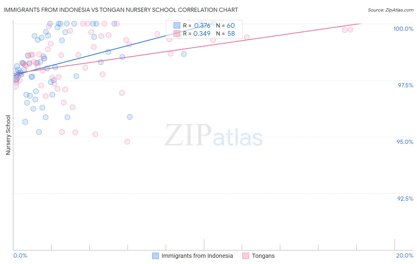 Immigrants from Indonesia vs Tongan Nursery School