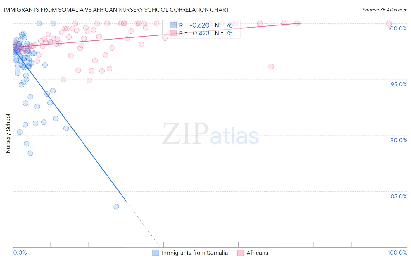 Immigrants from Somalia vs African Nursery School