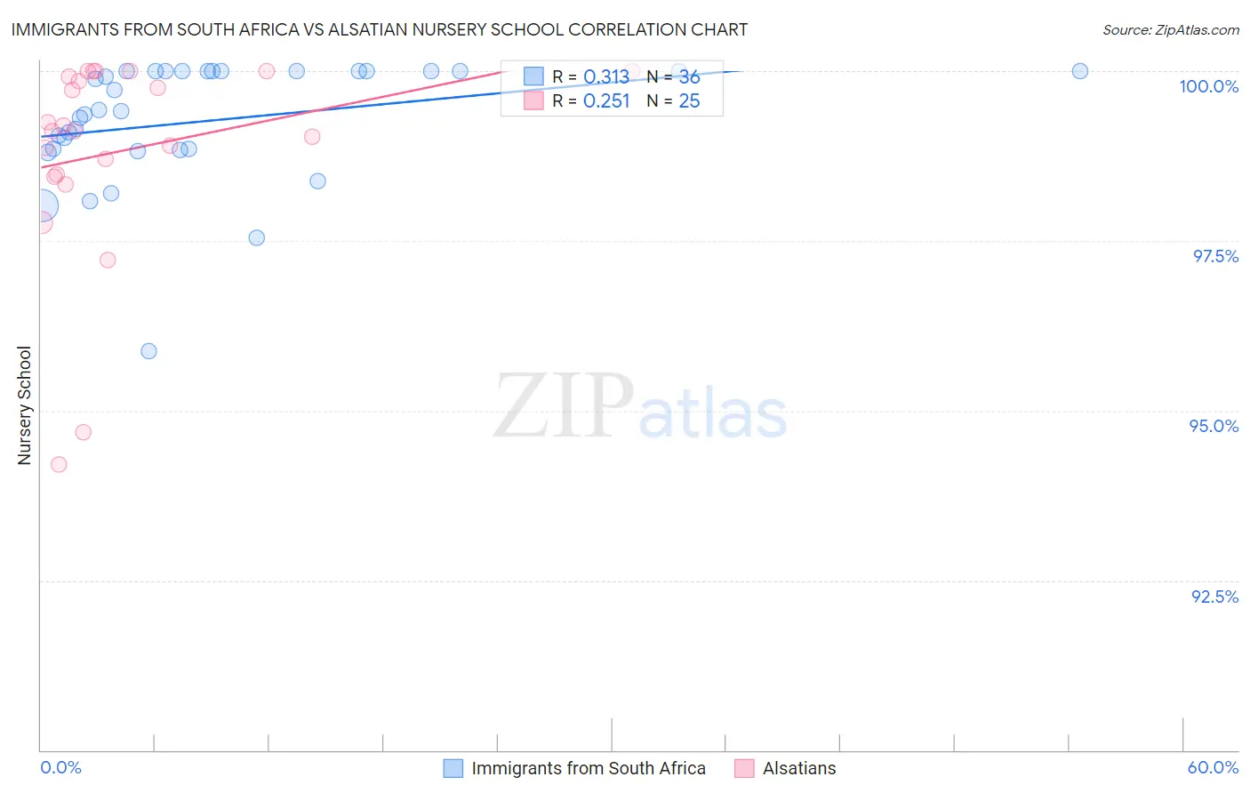 Immigrants from South Africa vs Alsatian Nursery School