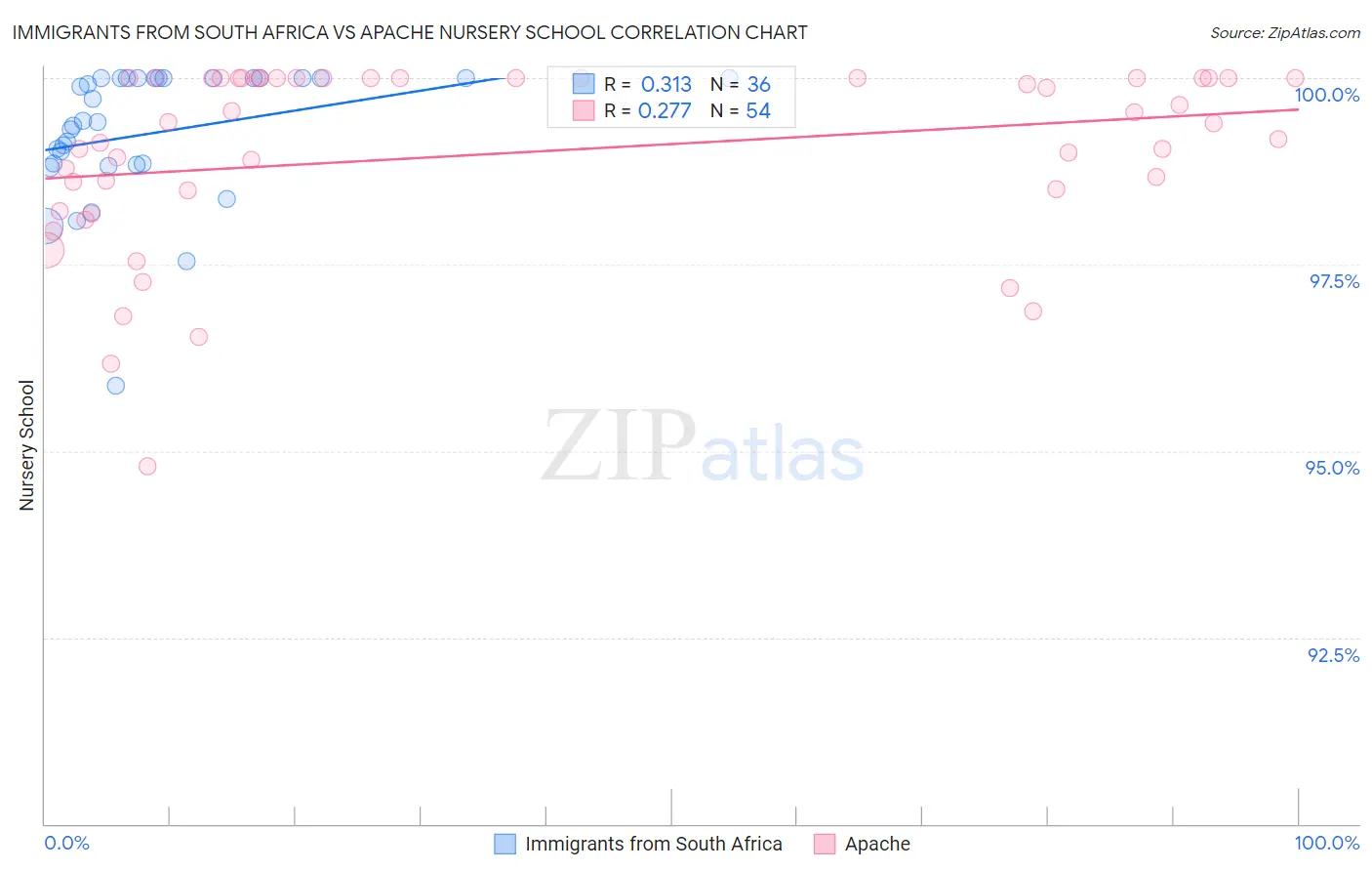 Immigrants from South Africa vs Apache Nursery School
