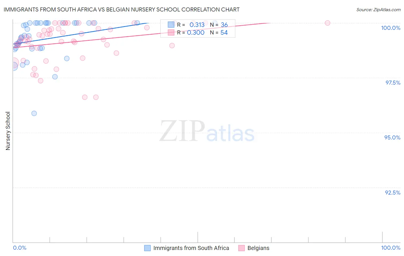 Immigrants from South Africa vs Belgian Nursery School