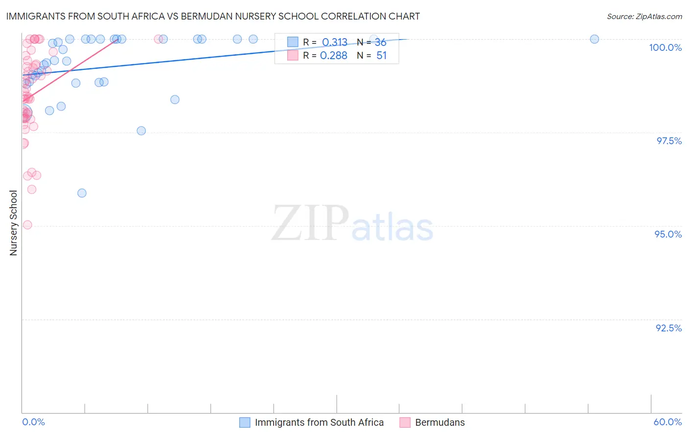 Immigrants from South Africa vs Bermudan Nursery School