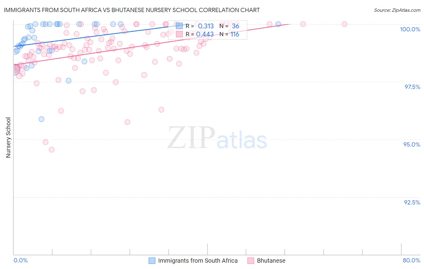 Immigrants from South Africa vs Bhutanese Nursery School