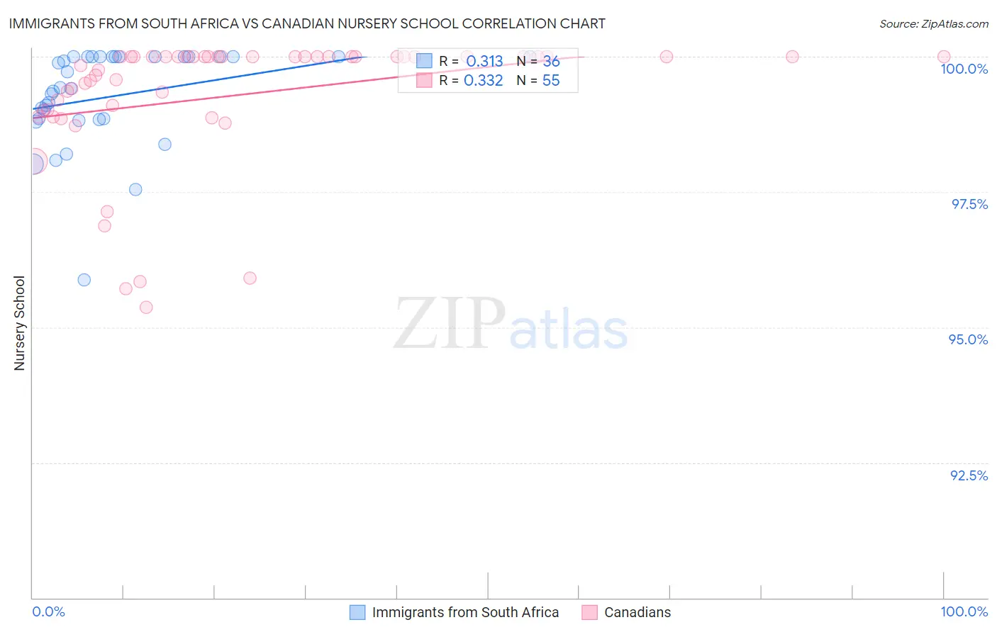 Immigrants from South Africa vs Canadian Nursery School