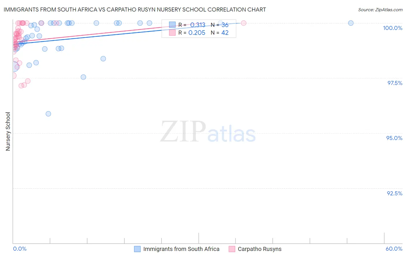 Immigrants from South Africa vs Carpatho Rusyn Nursery School