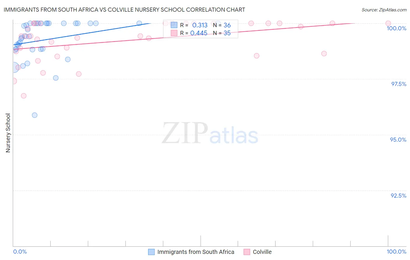 Immigrants from South Africa vs Colville Nursery School