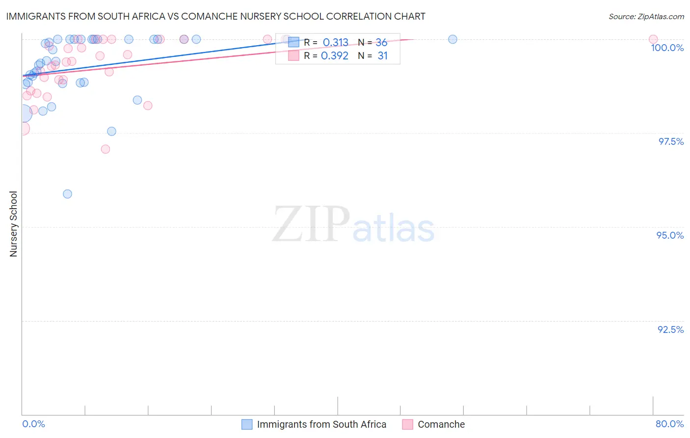 Immigrants from South Africa vs Comanche Nursery School
