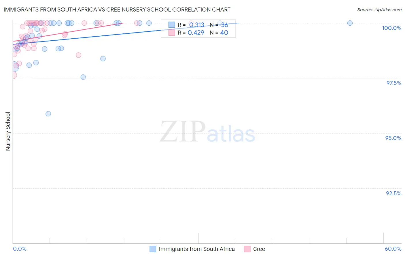 Immigrants from South Africa vs Cree Nursery School