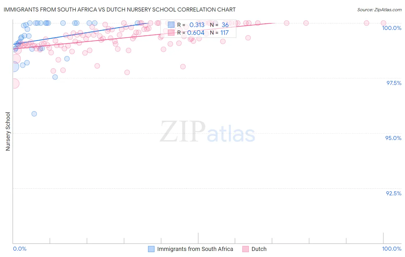 Immigrants from South Africa vs Dutch Nursery School