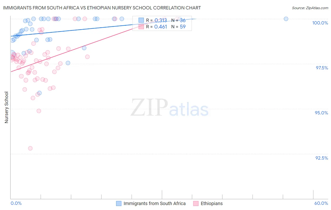 Immigrants from South Africa vs Ethiopian Nursery School