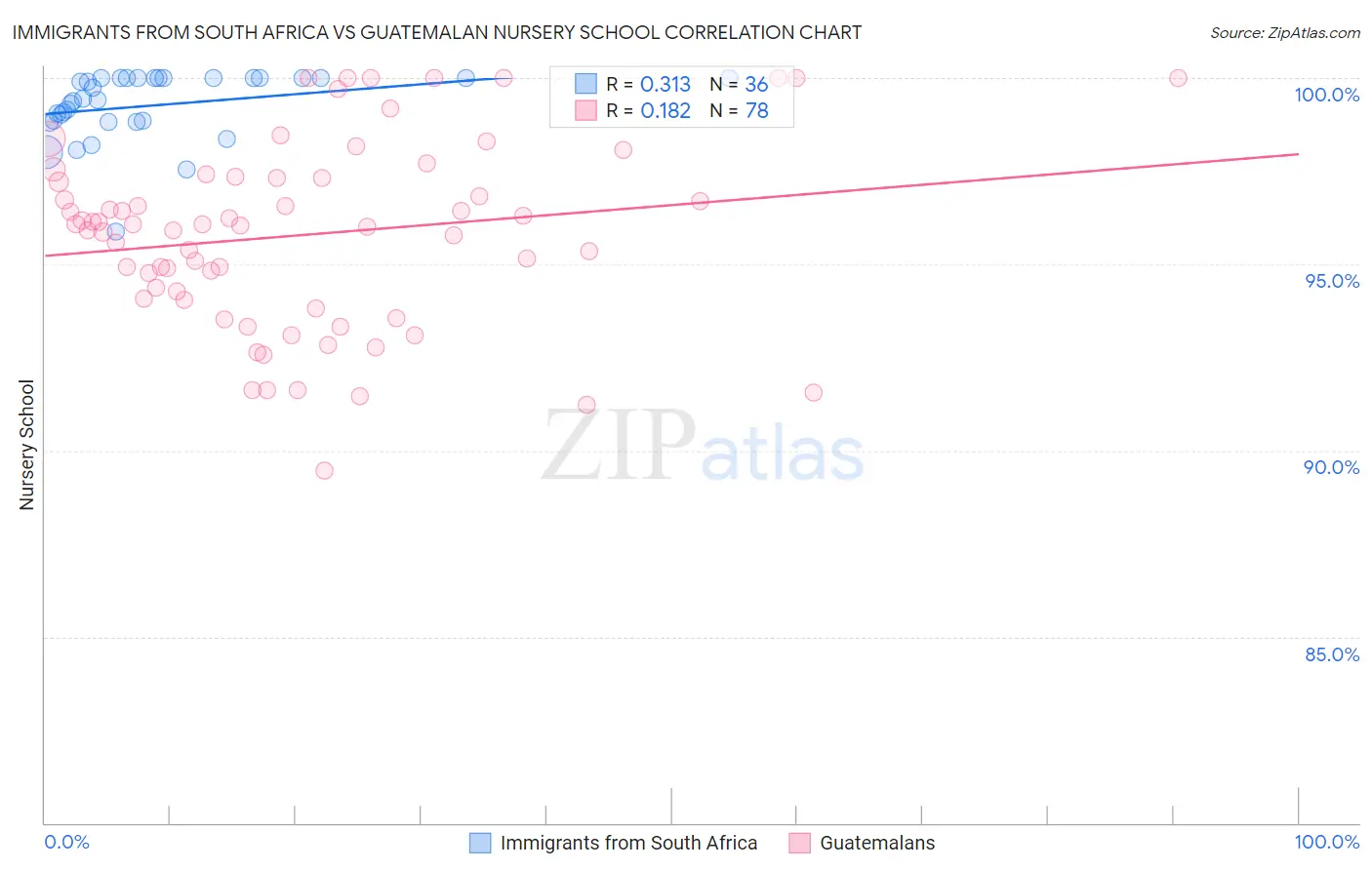 Immigrants from South Africa vs Guatemalan Nursery School