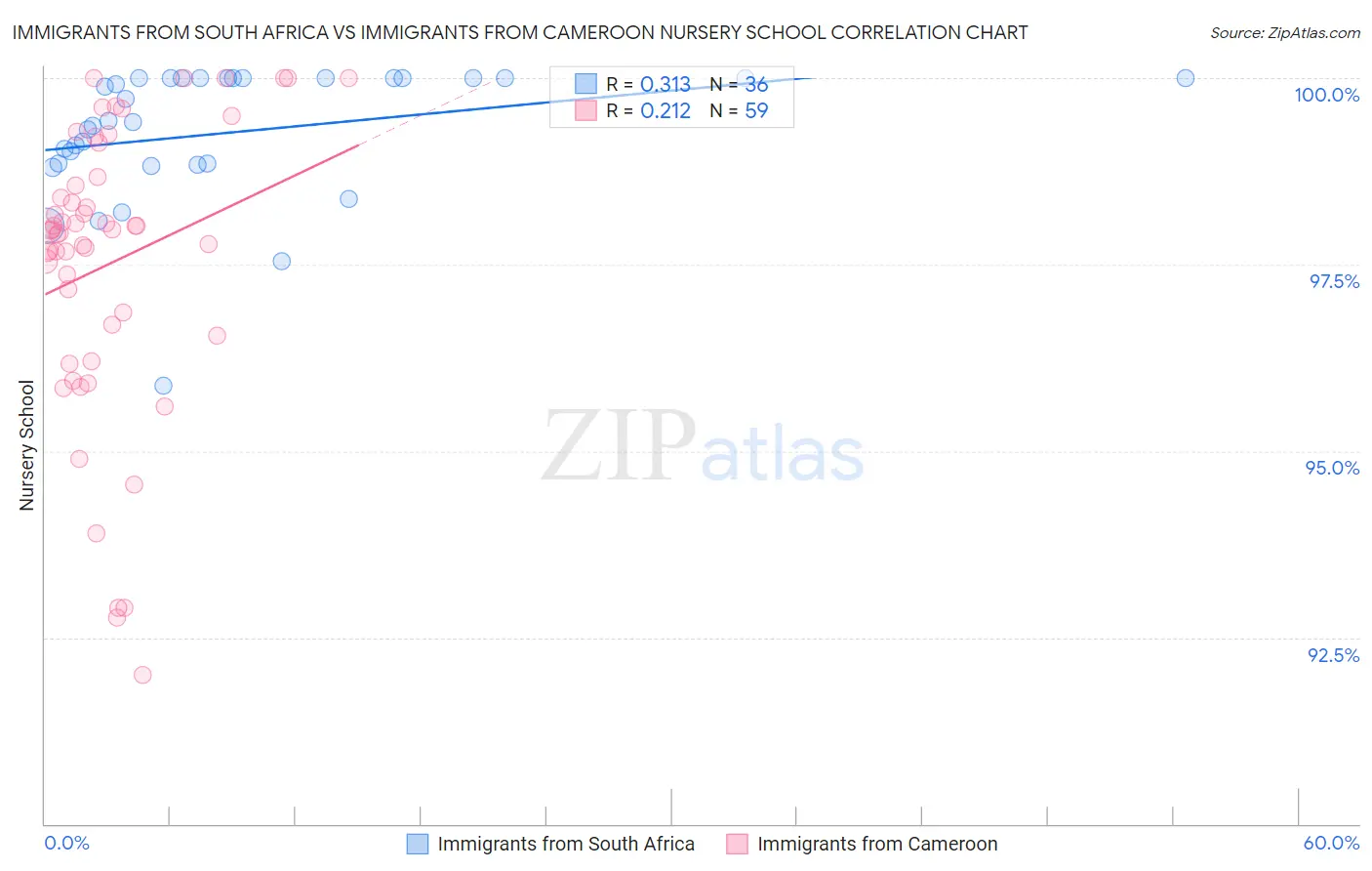 Immigrants from South Africa vs Immigrants from Cameroon Nursery School