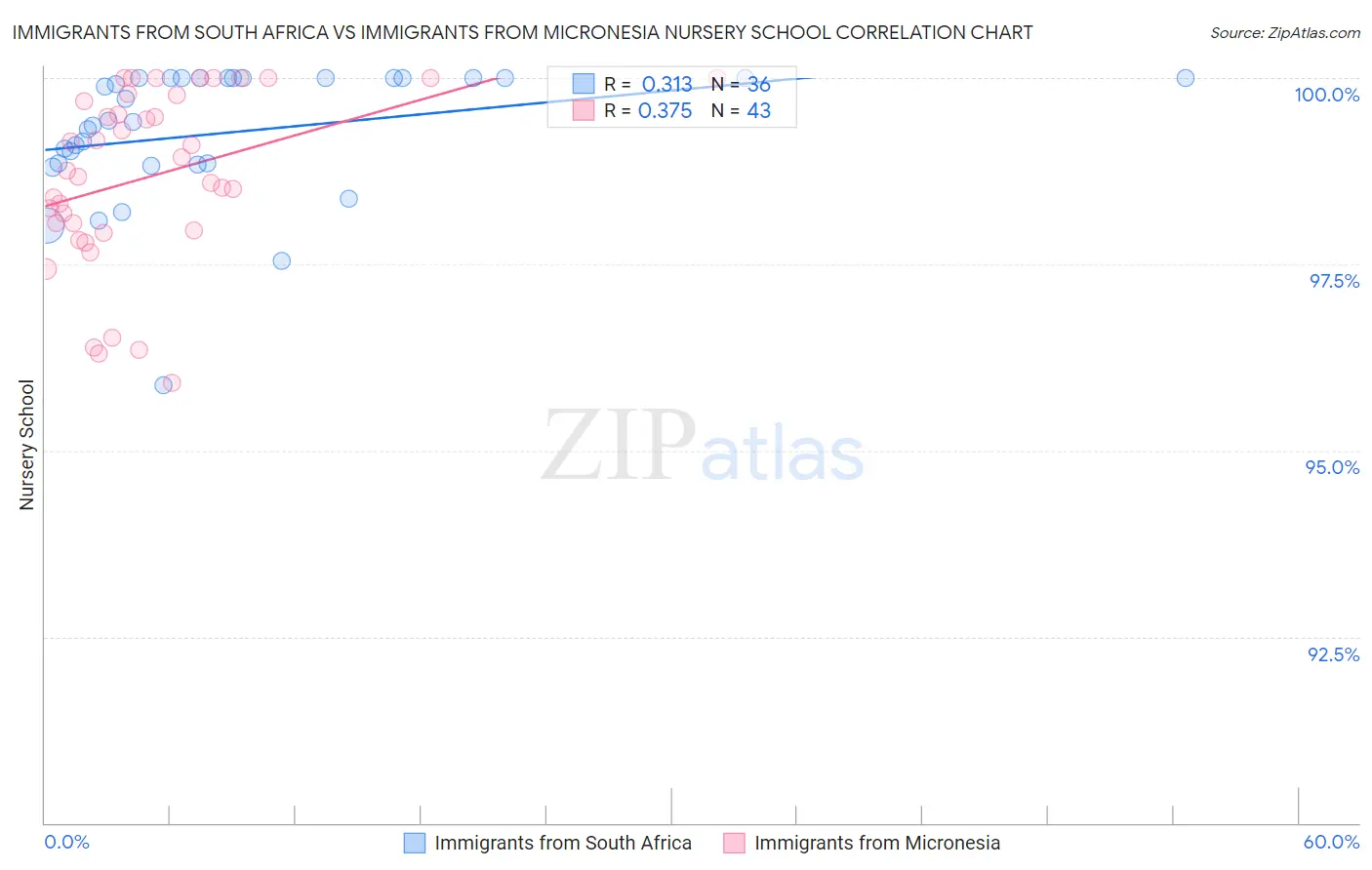 Immigrants from South Africa vs Immigrants from Micronesia Nursery School