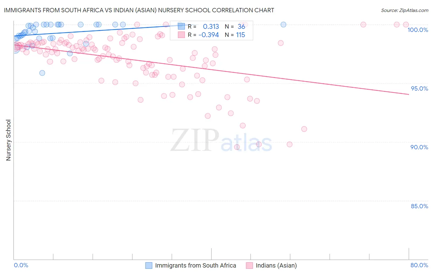 Immigrants from South Africa vs Indian (Asian) Nursery School