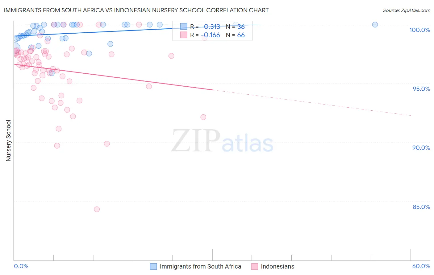 Immigrants from South Africa vs Indonesian Nursery School